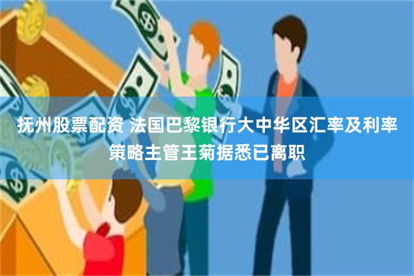 抚州股票配资 法国巴黎银行大中华区汇率及利率策略主管王菊据悉已离职